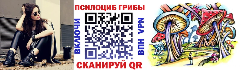 Галлюциногенные грибы GOLDEN TEACHER  продажа наркотиков  Дмитровск 